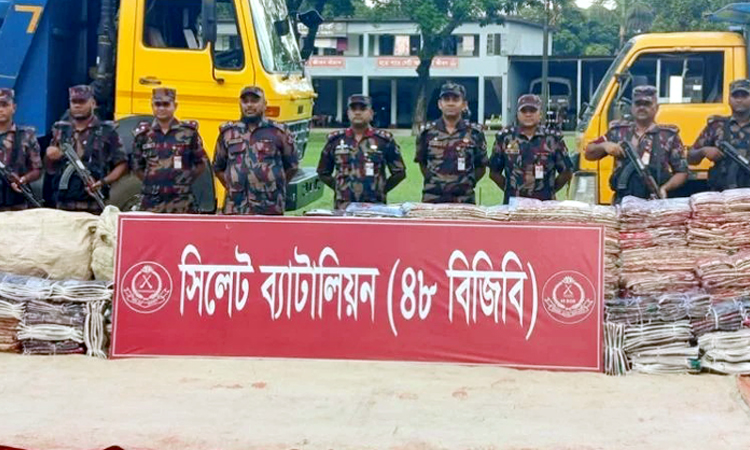 সিলেট সীমান্তে সাড়ে ৭ কোটি টাকার ভারতীয় চোরাই পণ্য জব্দ