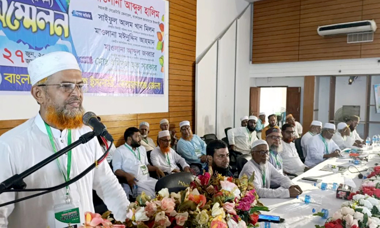 গণদুশমন আ. লীগ আদি ঠিকানায় আশ্রয় নিয়েছে: মাওলানা আব্দুল হালিম