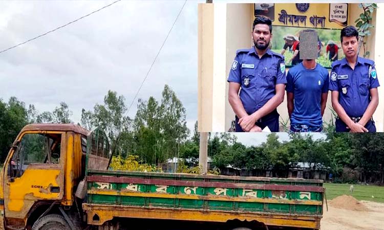 শ্রীমঙ্গলে অবৈধ উত্তোলিত বালুসহ ট্রাক জব্দ, আটক ১