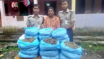 নবীগঞ্জে সেনাবাহিনী অভিযানে মাদক ব্যবসায়ী গাঁজাসহ আটক