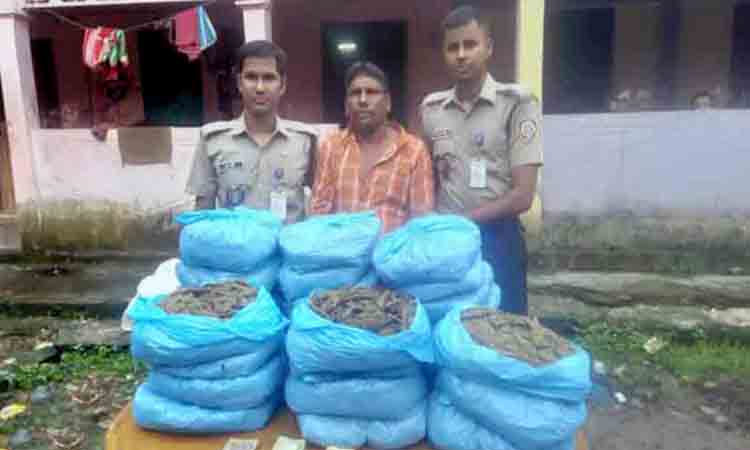 নবীগঞ্জে সেনাবাহিনী অভিযানে মাদক ব্যবসায়ী গাঁজাসহ আটক
