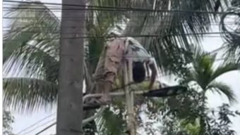 কুচাইয়ে ব্রাজিলের পতাকা টানাতে গিয়ে বিদ্যুৎস্পৃষ্ট আইসিইউতে কিশোর