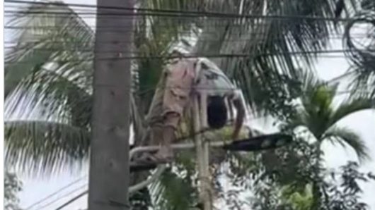 কুচাইয়ে ব্রাজিলের পতাকা টানাতে গিয়ে বিদ্যুৎস্পৃষ্ট আইসিইউতে কিশোর