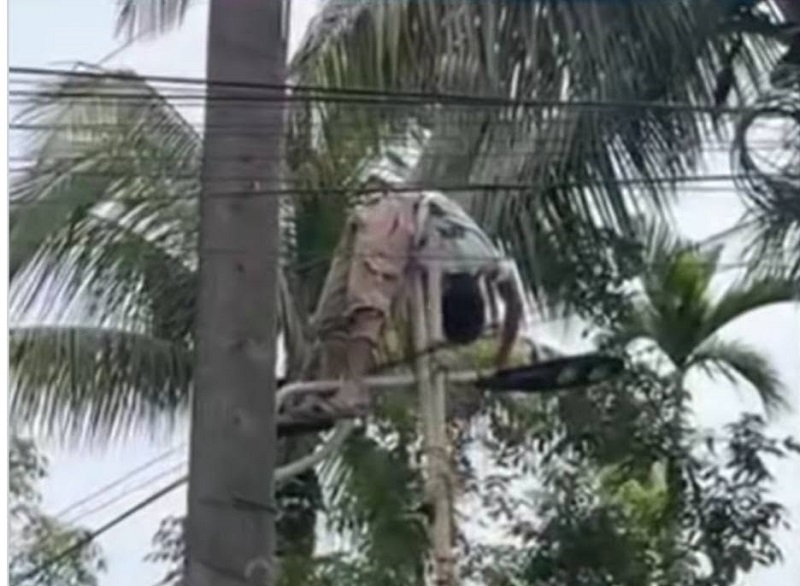 কুচাইয়ে ব্রাজিলের পতাকা টানাতে গিয়ে বিদ্যুৎস্পৃষ্ট আইসিইউতে কিশোর