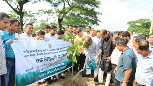 নগরে ৫০ হাজার বৃক্ষরোপণের পরিকল্পনা