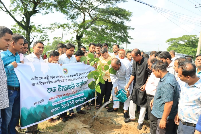 নগরে ৫০ হাজার বৃক্ষরোপণের পরিকল্পনা