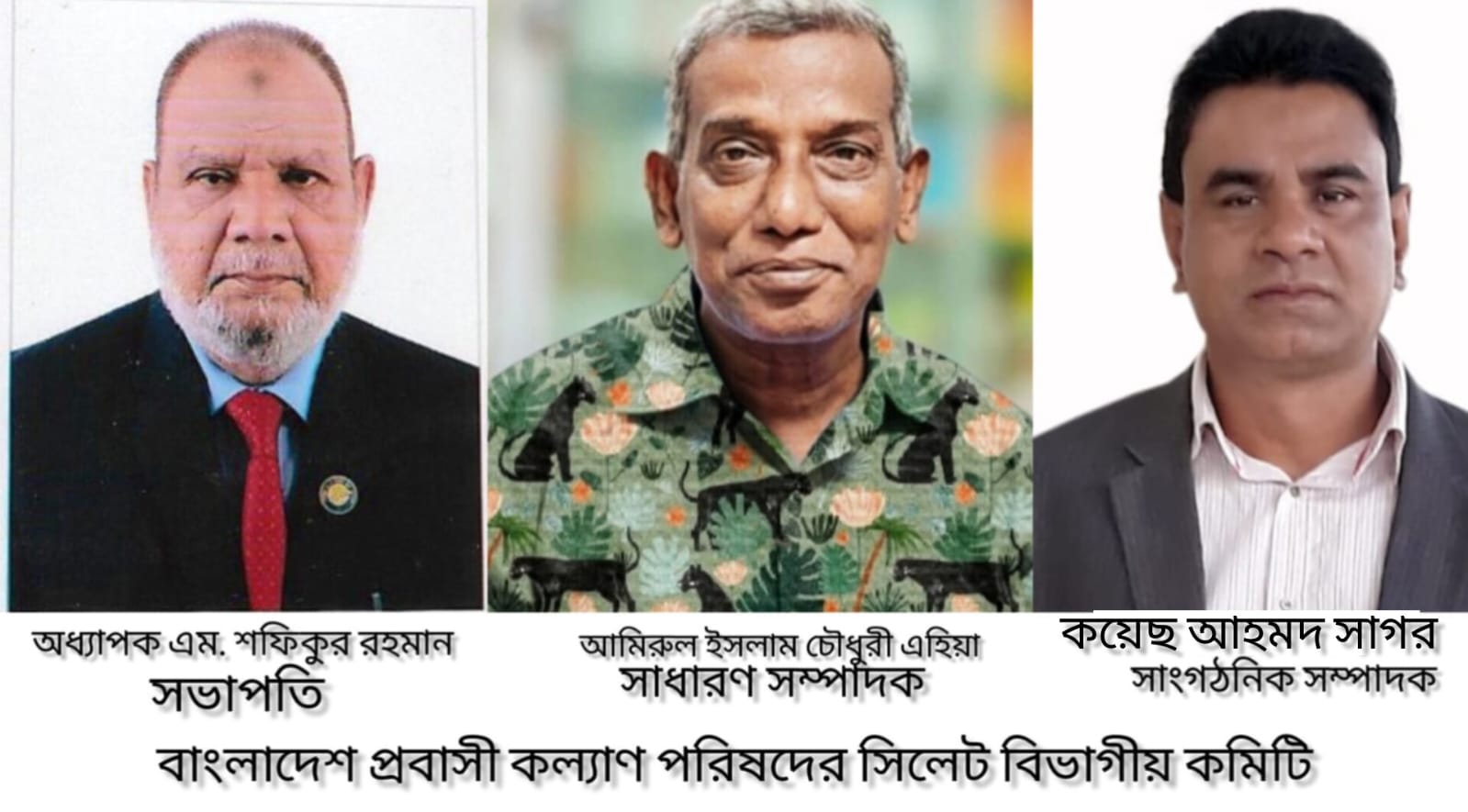 বাংলাদেশ প্রবাসী কল্যাণ পরিষদের সিলেট বিভাগীয় কমিটি ঘোষণা অধ্যাপক শফিকুর রহমান সভাপতি, আমিরুল ইসলাম সাধারণ সম্পাদক ও কয়েছ আহমদ সাংগঠনিক সম্পাদক নির্বাচিত