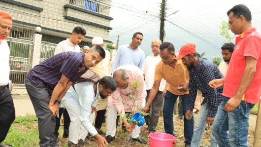 পাঠানপাড়ায় বৃক্ষরোপণ কর্মসূচি উদ্বোধনকালে সিসিক প্রশাসক  নাগরিক সমস্যার সমাধানে তাৎক্ষণিক ব্যবস্থা নেওয়া হবে