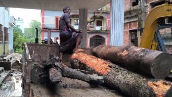টেন্ডার-অনুমোদন ছাড়াই বিদ্যালয়ের গাছ কাটা, প্রধান শিক্ষকের বিরুদ্ধে অনিয়মের অভিযোগ