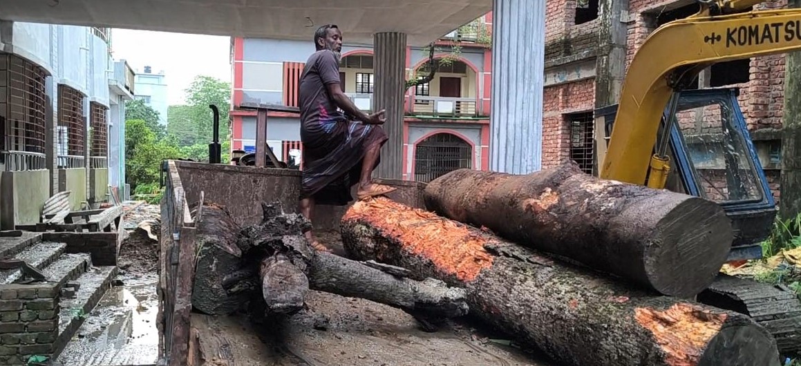টেন্ডার-অনুমোদন ছাড়াই বিদ্যালয়ের গাছ কাটা, প্রধান শিক্ষকের বিরুদ্ধে অনিয়মের অভিযোগ