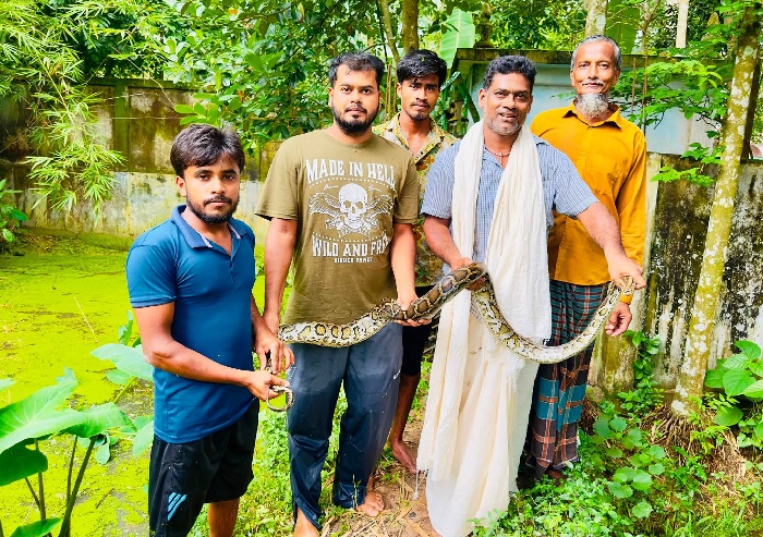 বিশ্ব সাপ দিবসে শ্রীমঙ্গলে অজগর সাপ উদ্ধার
