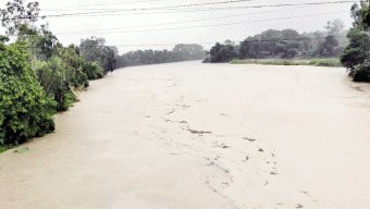 উজানের ঢলে বাড়ছে নদ-নদীর পানি