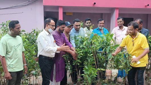 পরিবেশ রক্ষায় নিজপাট ইউনিয়নে শিক্ষা প্রতিষ্ঠানে গাছের চারা বিতরণ