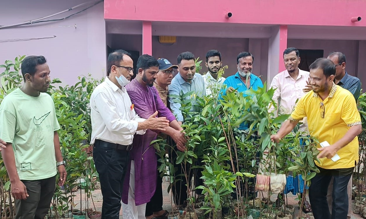 পরিবেশ রক্ষায় নিজপাট ইউনিয়নে শিক্ষা প্রতিষ্ঠানে গাছের চারা বিতরণ