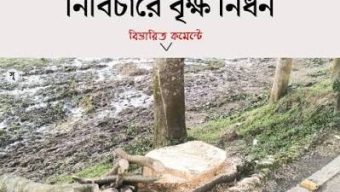 উন্নয়নের নামে বৃক্ষনিধন: ভোলাগঞ্জে বেড়েছে তাপমাত্রা, বাড়ছে তীব্র পরিবেশগত ঝুঁকি 