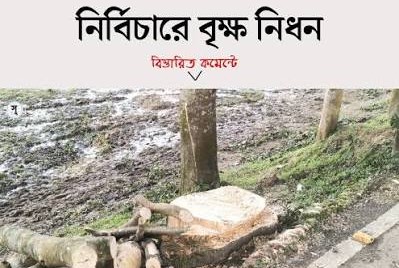 উন্নয়নের নামে বৃক্ষনিধন: ভোলাগঞ্জে বেড়েছে তাপমাত্রা, বাড়ছে তীব্র পরিবেশগত ঝুঁকি 