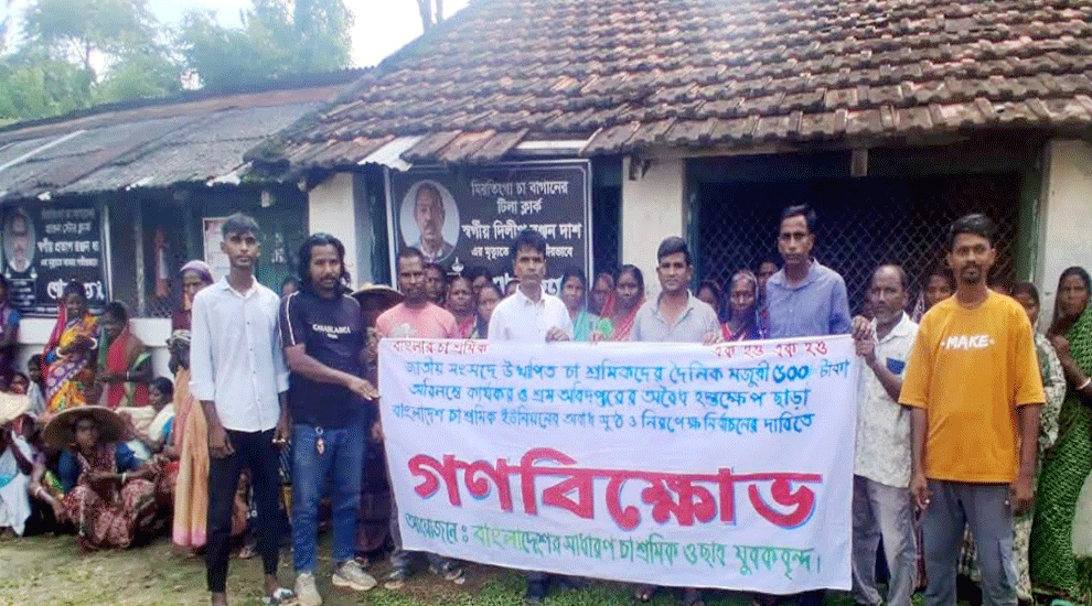 কমলগঞ্জে চা শ্রমিকদের গণবিক্ষোভ অনুষ্ঠিত হয়েছে
