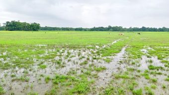 গোয়াইনঘাটে জমি দখল, হামলা ও প্রাণনাশের হুমকির অভিযোগে ৭ জনের বিরুদ্ধে মামলা
