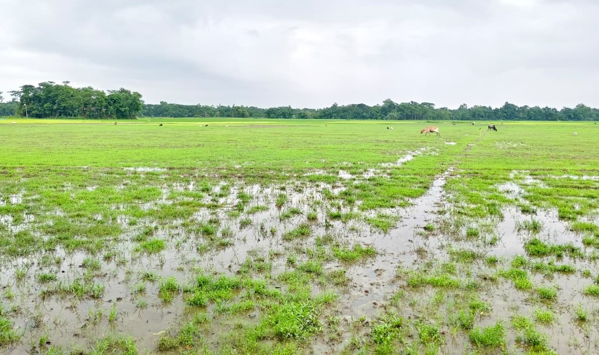 গোয়াইনঘাটে জমি দখল, হামলা ও প্রাণনাশের হুমকির অভিযোগে ৭ জনের বিরুদ্ধে মামলা