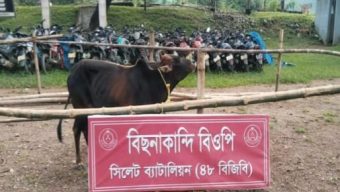 সীমান্তে ৪৮ বিজিবির অভিযান, ৩০ লাখ ৮২ হাজার টাকার চোরাচালানী মালামাল আটক