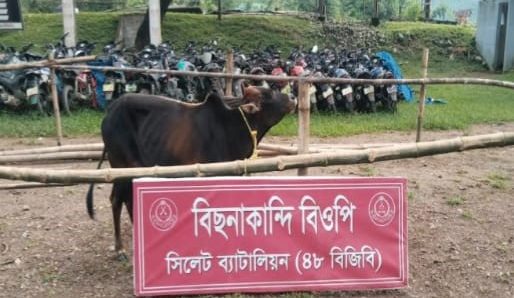 সীমান্তে ৪৮ বিজিবির অভিযান, ৩০ লাখ ৮২ হাজার টাকার চোরাচালানী মালামাল আটক