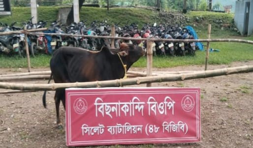 সীমান্তে ৪৮ বিজিবির অভিযান, ৩০ লাখ ৮২ হাজার টাকার চোরাচালানী মালামাল আটক