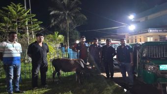 কুলাউড়া উপজেলা থেকে ২ গরু চোর আটক