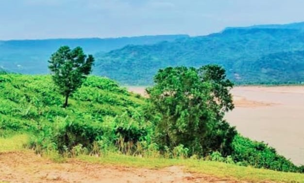 খাসজমি-টিলা দখল, কাটাকাটি করে প্লট বাণিজ্য! প্রশাসনের নজরদারি নিয়ে প্রশ্ন