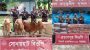 সিলেট সীমান্তে বিজিবির অভিযানে ৩৬ লাখ টাকার চোরাচালানি মালামাল জব্দ!