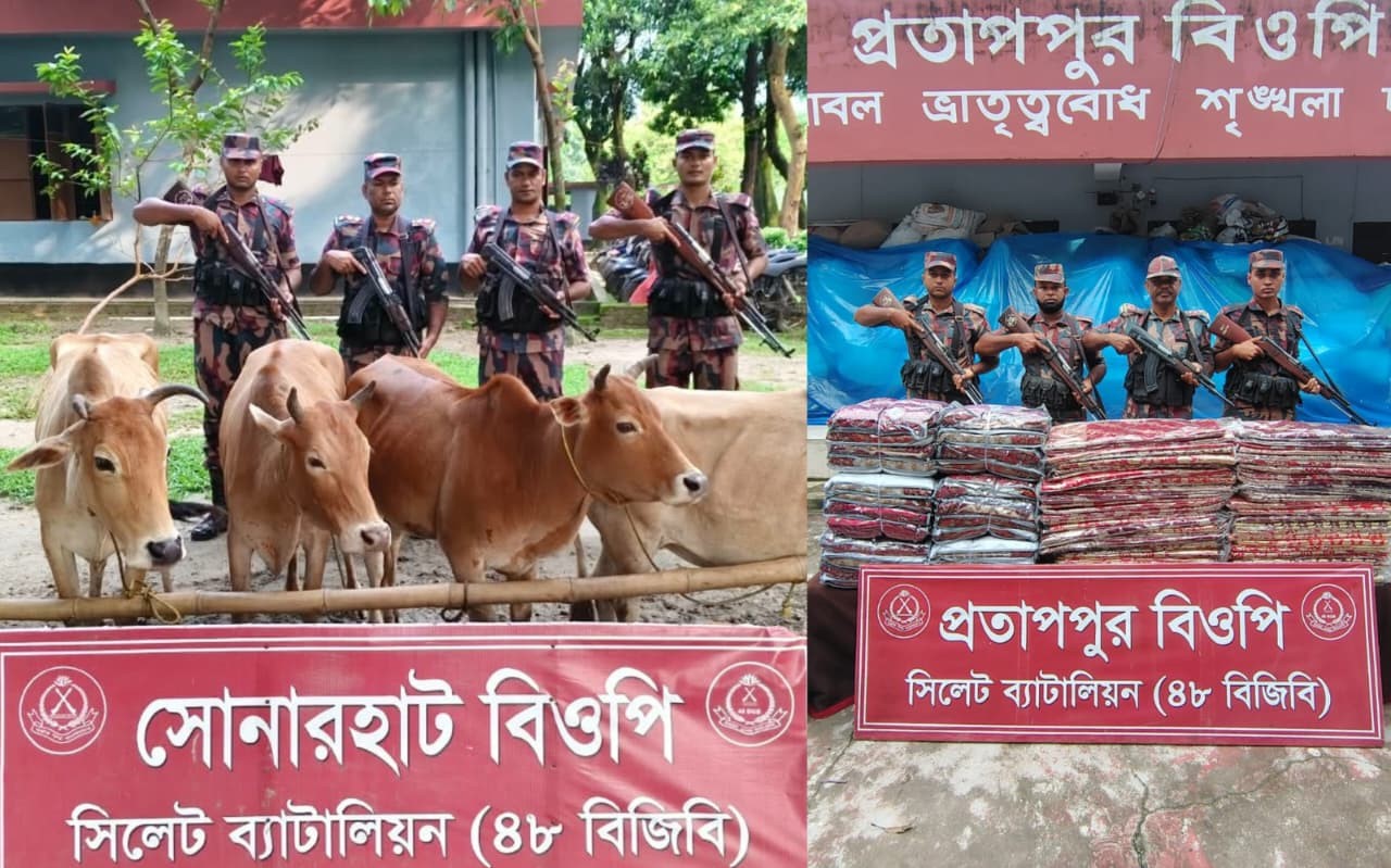 সিলেট সীমান্তে বিজিবির অভিযানে ৩৬ লাখ টাকার চোরাচালানি মালামাল জব্দ!