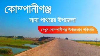 মহাসড়ক হয়েছে, হারিয়েছে সবুজ: খরতাপে পুড়ছে ভোলাগঞ্জ