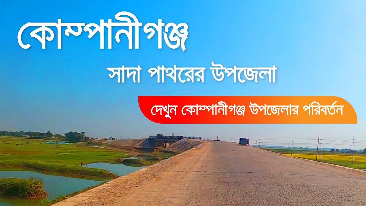 মহাসড়ক হয়েছে, হারিয়েছে সবুজ: খরতাপে পুড়ছে ভোলাগঞ্জ