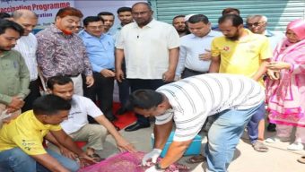 টার্গেটে সাড়ে ৪ হাজার কুকুর, জলাতঙ্কের টিকাদান শুরু