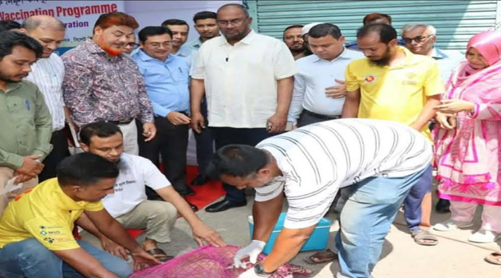 টার্গেটে সাড়ে ৪ হাজার কুকুর, জলাতঙ্কের টিকাদান শুরু