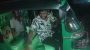 পীরের বাজারে ট্রাফিক পুলিশের অভিযান, রেকারে ১২টির বেশি সিএনজি  মাসিক টোকেন বাণিজ্যের অভিযোগ চালকদের, যাত্রী হয়রানি বন্ধে কার্যকর সমাধানের দাবি