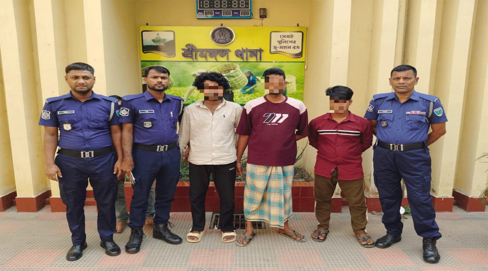 শ্রীমঙ্গলে এক কিশোরীকে অপহরণ করে রাতভর ধর্ষণের অভিযোগ গ্রেপ্তার ৩