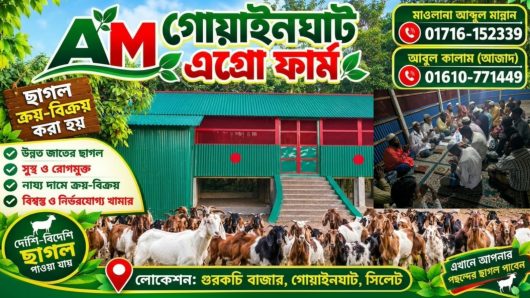 গোয়াইনঘাটে নতুন সম্ভাবনার দ্বার খুলল এ.এম গোয়াইনঘাট এগ্রো ফার্ম, মিলাদ ও দোয়ার মধ্য দিয়ে যাত্রা শুরু!